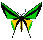 animace letu motyla